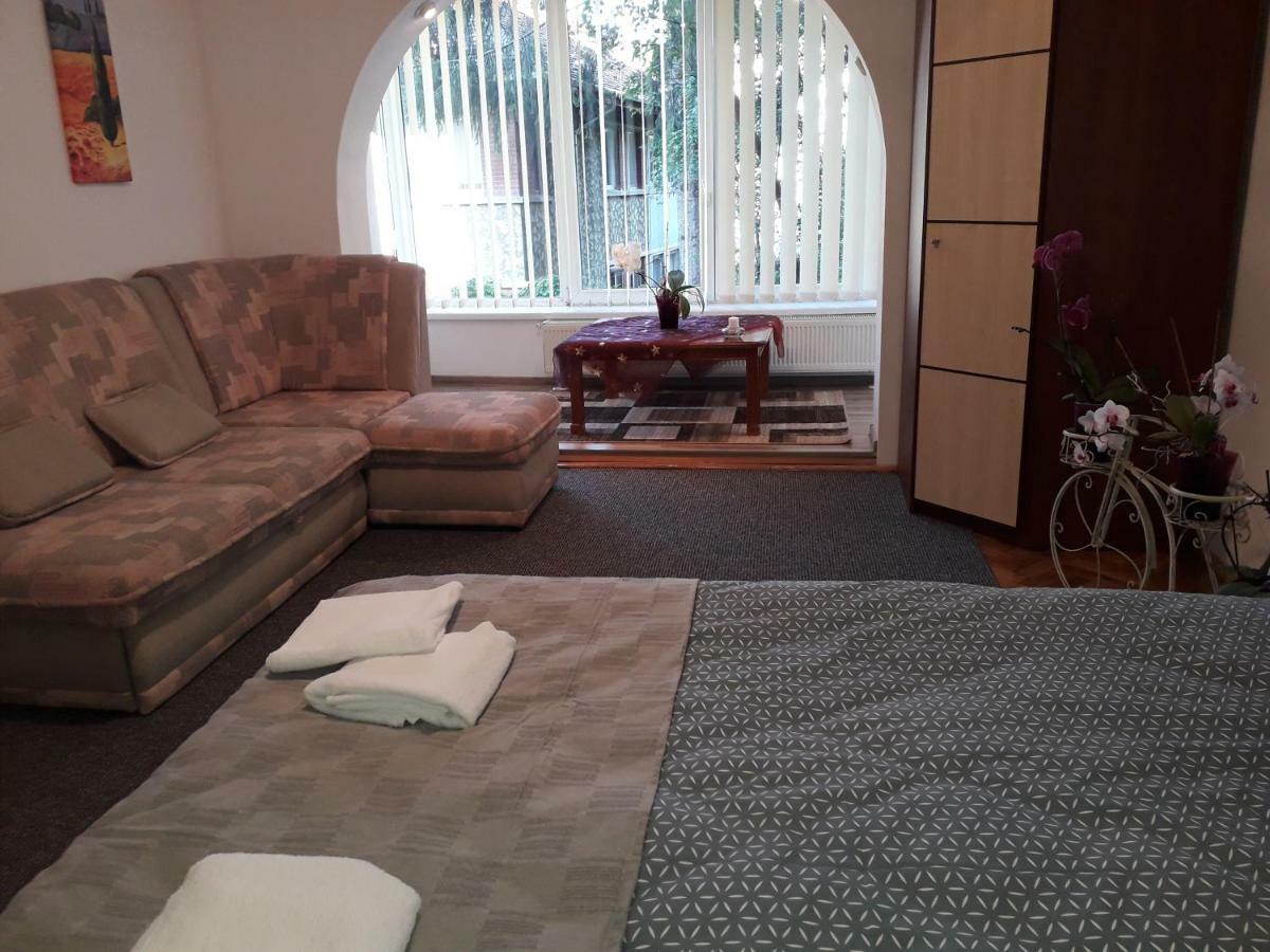Central Appartment St'S Martin Church ブラショフ エクステリア 写真