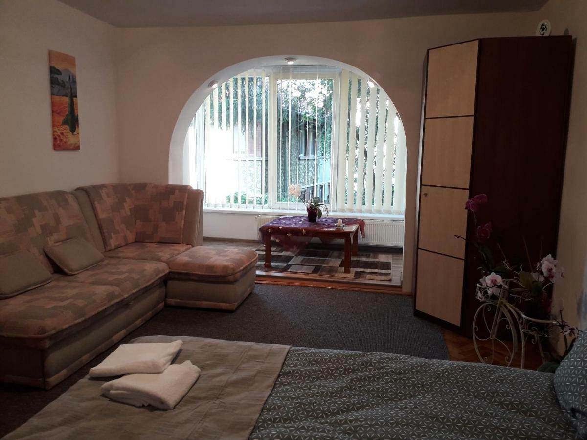 Central Appartment St'S Martin Church ブラショフ エクステリア 写真
